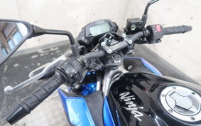KAWASAKI Z250 SL BR250E