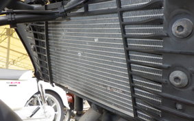 YAMAHA MT-25 A RG43J