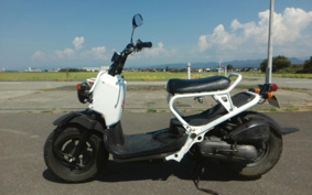 HONDA ZUMAR AF58
