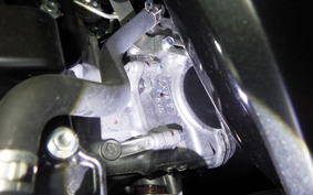 HONDA FORZA 250 MF17