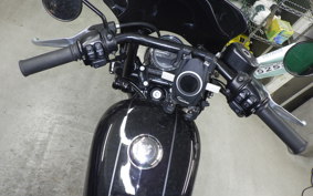 HARLEY XL1200CX 2018