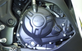 YAMAHA YZF-R25 2015 RG10J