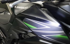 KAWASAKI Z250 2022 ER250C