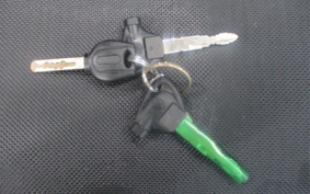 YAMAHA  AXIS Z SED7J