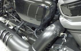 HARLEY RH975 2022