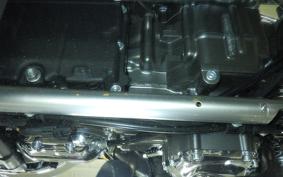 HARLEY FLSTFI1920 2025