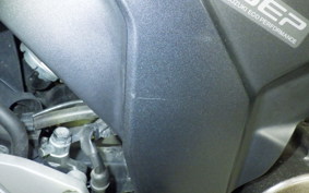 SUZUKI ｼﾞｸｻｰ250 ED22Y