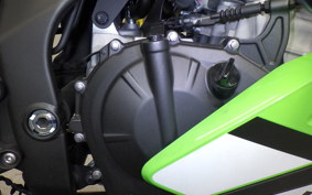 KAWASAKI ZX-4RR 2025 ZX400P