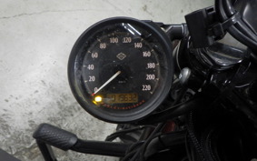 HARLEY XL1200NS 2019