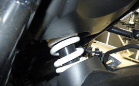 SUZUKI GIXXER 250 2024 ED22B