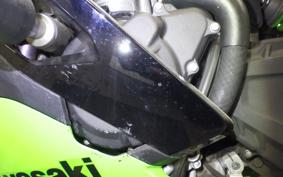 KAWASAKI ZX-4RR 2023 ZX400P