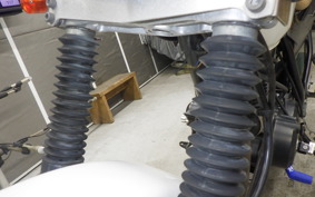 YAMAHA TW225 2021 DG09J