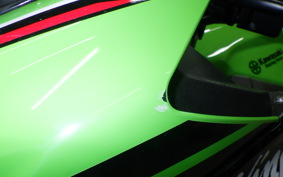 KAWASAKI NINJA 250 2019 EX250Y