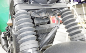 HONDA REBEL 250 S MC49