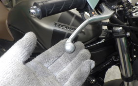 HONDA VTR 250 Gen. 2 2019 MC33