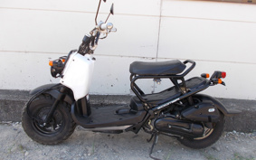 HONDA ZUMAR AF58