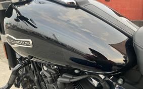 HARLEY FLSB 2019 YMJ