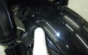 HARLEY FLSB 1750 2018