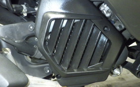 HONDA TACT Basket 2022 AF79