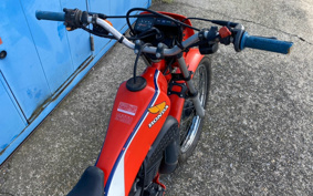 HONDA TLM50 AD07