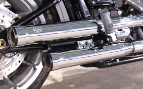 HARLEY FLFBS 2023 YGK
