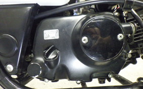 HONDA MAGNA 50 2024 AC13