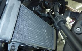 HONDA CB250RA 2025 MC52
