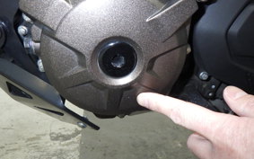 SUZUKI Vｽﾄﾛｰﾑ250SX 2023 EL11L