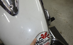YAMAHA DRAGSTAR 250 2021 VG02J
