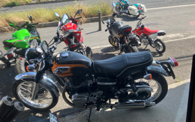 KAWASAKI W800 FINAL ED 2019 EJ800A