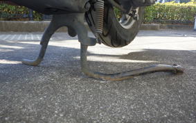 HONDA CREA SCOOPY AF55