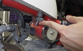 HONDA MONKEY 2024 Z50M