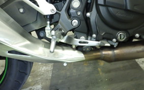 KAWASAKI Z250 Gen.2 2025 EX250Y