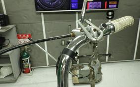 OTHER +UNREGISTERED MODEL by BDS1200 2010