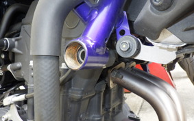 YAMAHA MT-25 RG10J