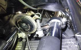 HONDA CBR1100XX 2006
