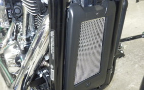 HARLEY FXBRS1870 2021