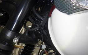 TRIUMPH BONNEVILLE T100 2022