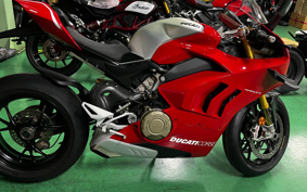 DUCATI PANIGA-REV4R 2019 DA04