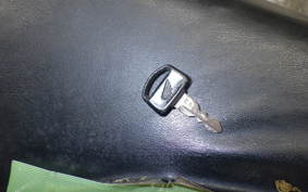 HONDA LITTLE CUB 2020 C50