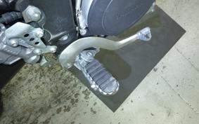 YAMAHA WR250X 2020 DG15J