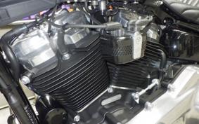 HARLEY FXST1750 2024