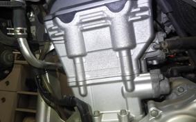 YAMAHA WR250R DG15J