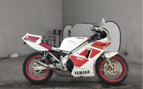 YAMAHA TZR250-1 1KT