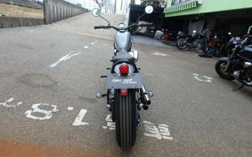 OTHER THUNDER 250 ...