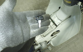 HONDA C50 SUPER CUB 2024 C50