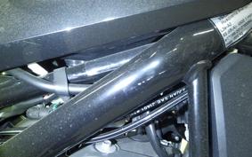 HUSQVARNA SVARTPILEN 401 2019