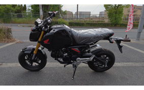 HONDA GROM JC92