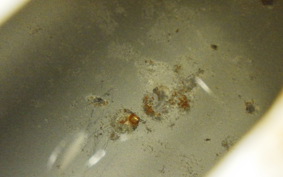 KAWASAKI NINJA 400 2015 EX400E