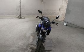 YAMAHA FZ25 RG42